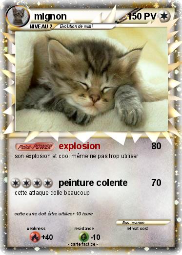 Pokemon mignon
