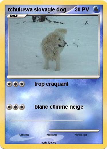 Pokemon tchulusva slovagie dog