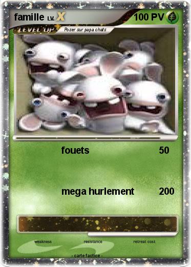 Pokemon famille
