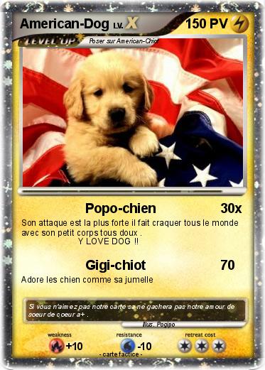 Pokemon American-Dog