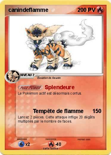 Pokemon canindeflamme