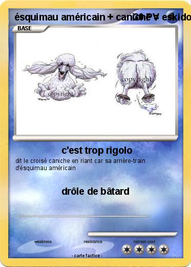 Pokemon ésquimau américain + caniche = eskidoodle