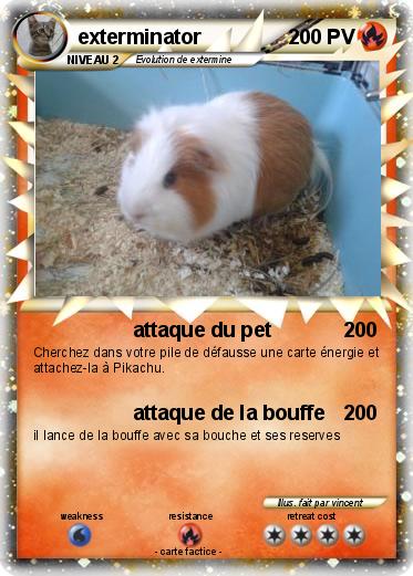 Pokemon exterminator