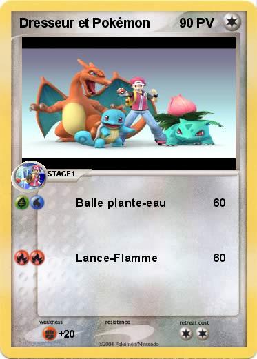 Pokemon Dresseur et Pokémon