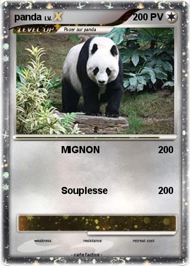 Pokemon panda