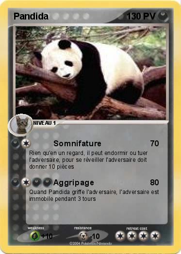 Pokemon Pandida