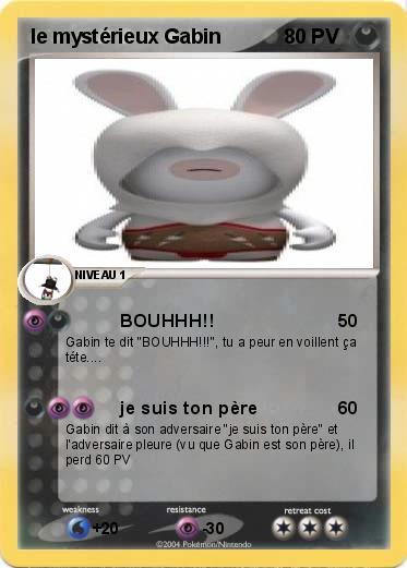 Pokemon le mystérieux Gabin                                                              