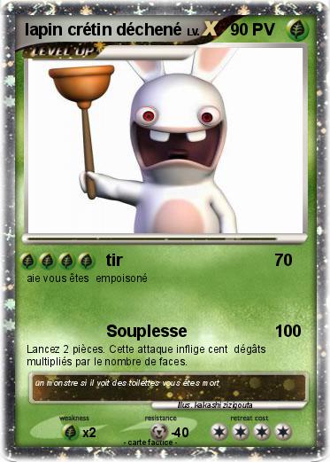 Pokemon lapin crétin déchené