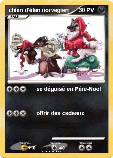 Pokemon chien d'élan norvegien