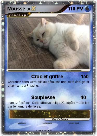 Pokemon Mousse