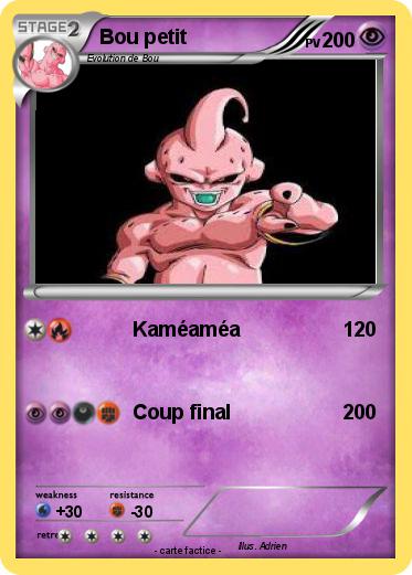 Pokemon Bou petit