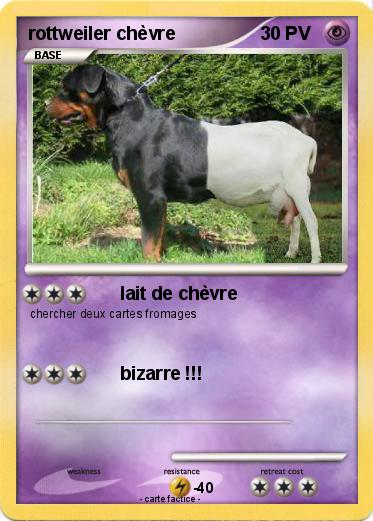 Pokemon rottweiler chèvre