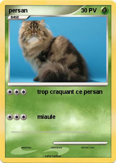 Pokemon persan