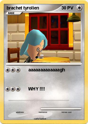 Pokemon brachet tyrolien