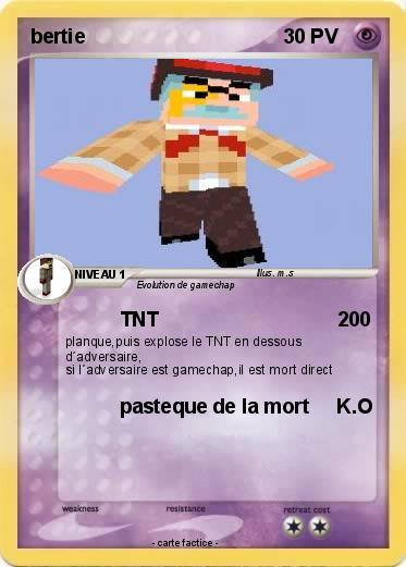 Pokemon bertie