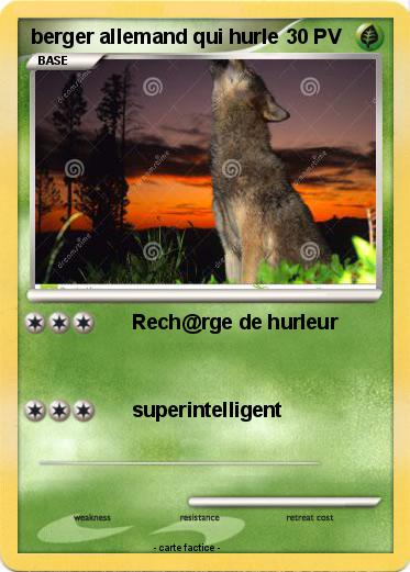 Pokemon berger allemand qui hurle