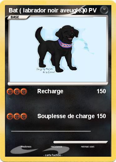 Pokemon Bat ( labrador noir aveugle )