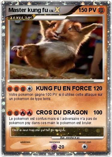 Pokemon Master kung fu