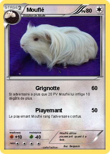 Pokemon Mouflé