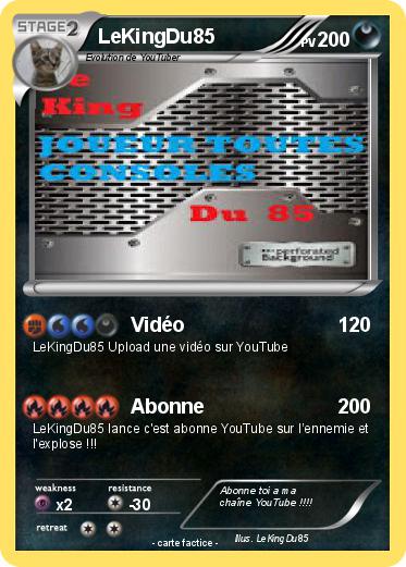 Pokemon LeKingDu85