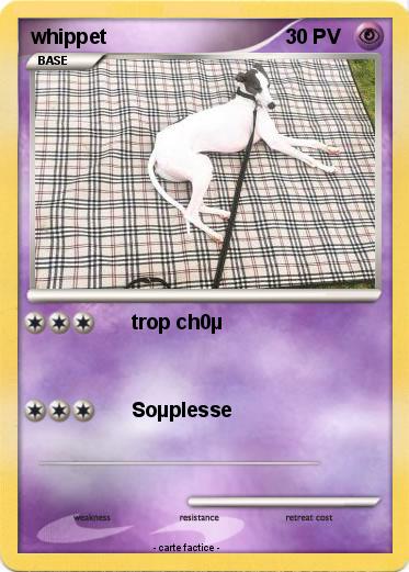 Pokemon whippet