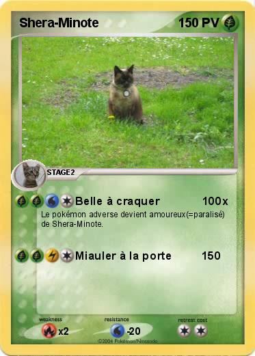 Pokemon Shera-Minote