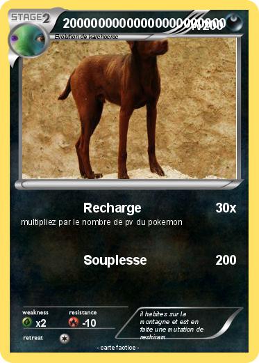Pokemon 20000000000000000000000