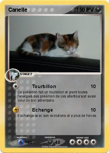 Pokemon Canelle