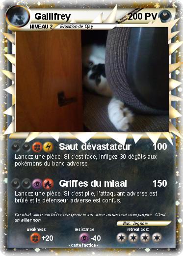 Pokemon Gallifrey