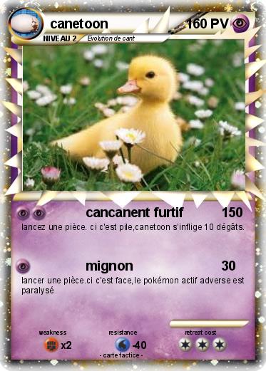 Pokemon canetoon
