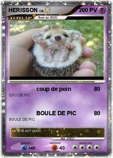 Pokemon HERISSON