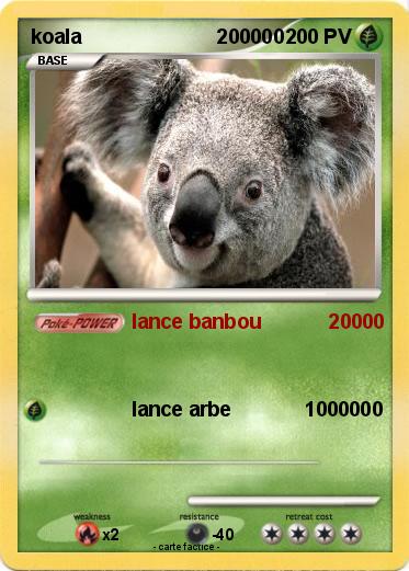 Pokemon koala                        200000