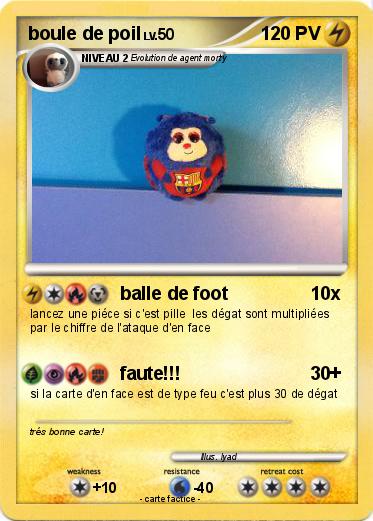 Pokemon boule de poil