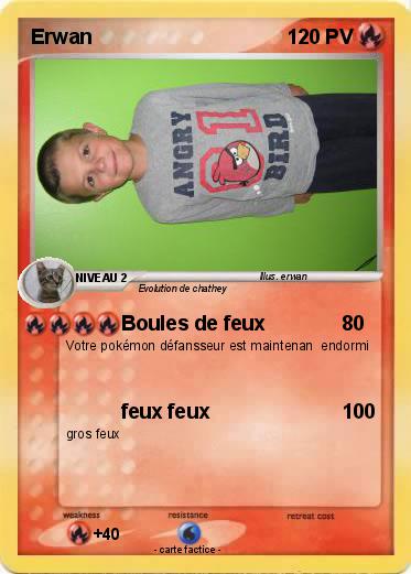 Pokemon Erwan