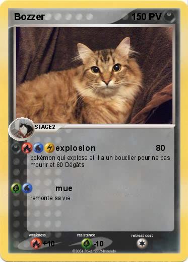 Pokemon Bozzer