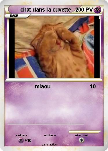 Pokemon chat dans la cuvette