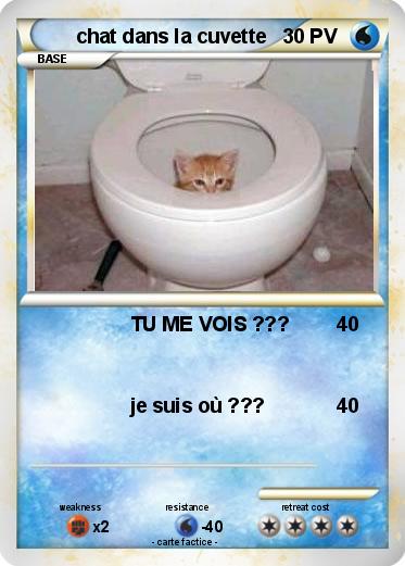 Pokemon chat dans la cuvette