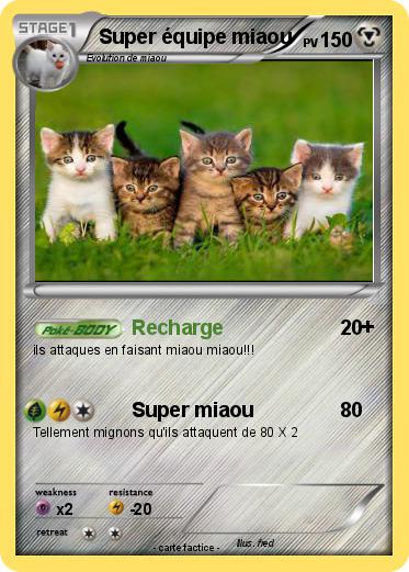 Pokemon Super équipe miaou
