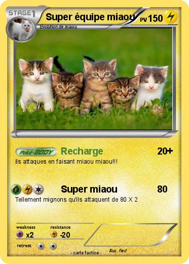 Pokemon Super équipe miaou