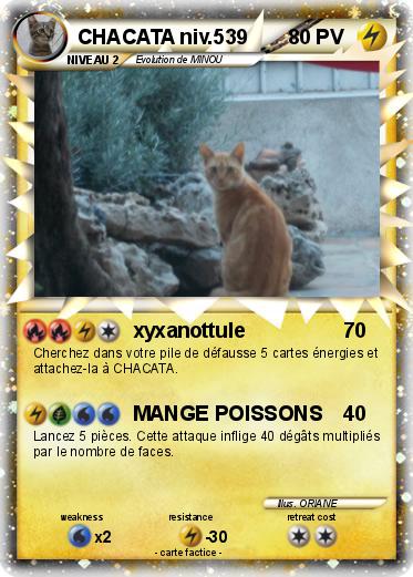 Pokemon CHACATA niv.539
