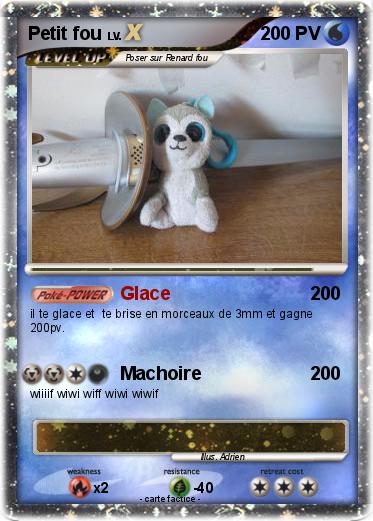 Pokemon Petit fou