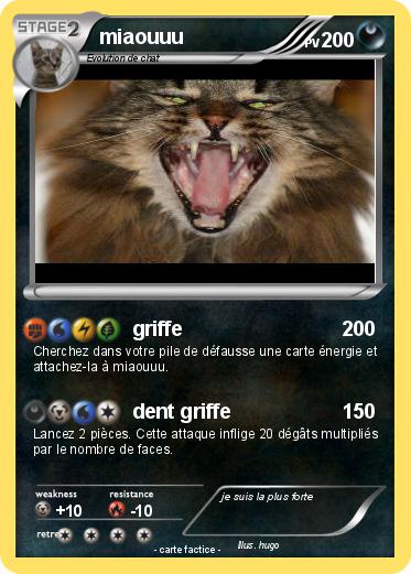 Pokemon miaouuu