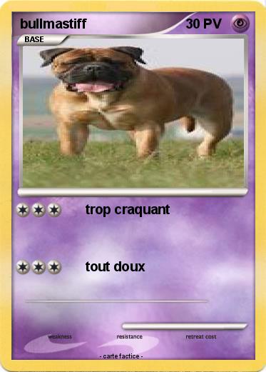 Pokemon bullmastiff