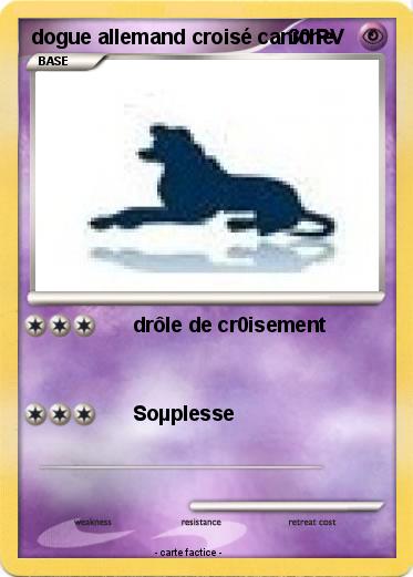 Pokemon dogue allemand croisé caniche