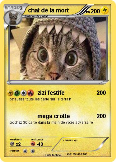 Pokemon chat de la mort