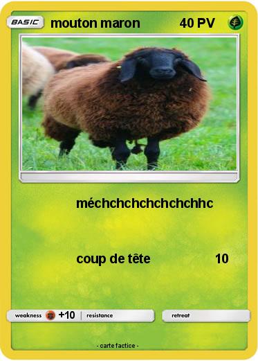 Pokemon mouton maron