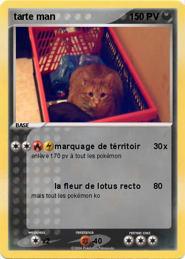Pokemon tarte man
