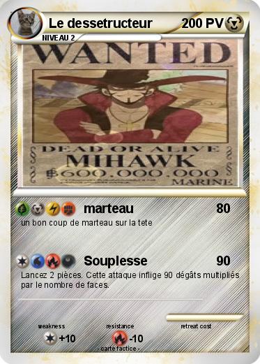 Pokemon Le dessetructeur