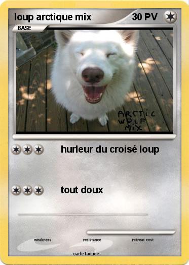 Pokemon loup arctique mix
