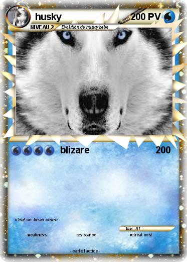Pokemon husky